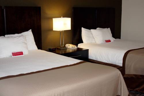 Imagen de la habitación del Hotel Best Western Rochester Mayo Clinic Area/st. Mary's. Foto 16