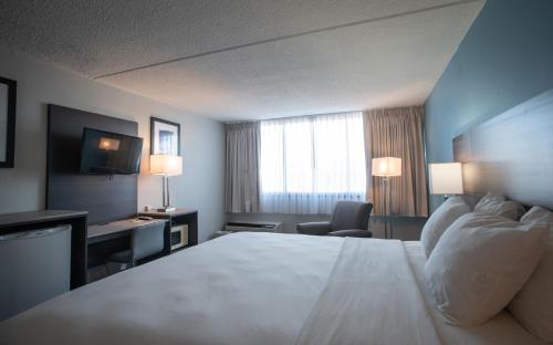 Imagen de la habitación del Hotel Best Western Rutgers University Hotel. Foto 9