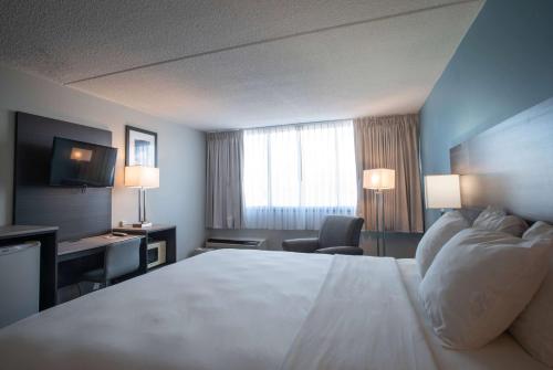 Imagen de la habitación del Hotel Best Western Rutgers University Hotel. Foto 19