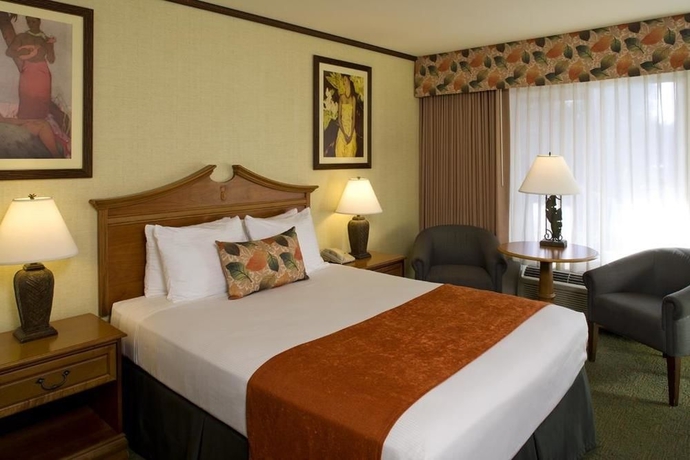 Imagen de la habitación del Hotel Best Western Seven Seas. Foto 3