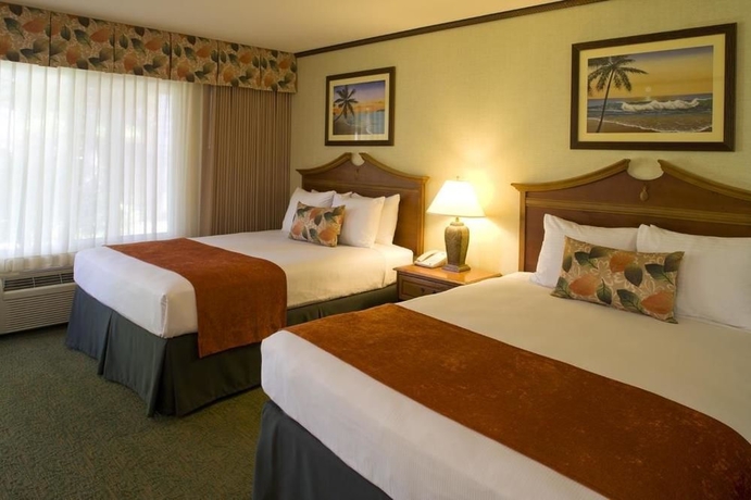 Imagen de la habitación del Hotel Best Western Seven Seas. Foto 4