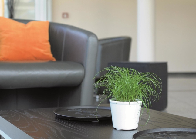 Imagen de los interiores del Hotel Best Western Soibelmanns Frankfurt Airport. Foto 16