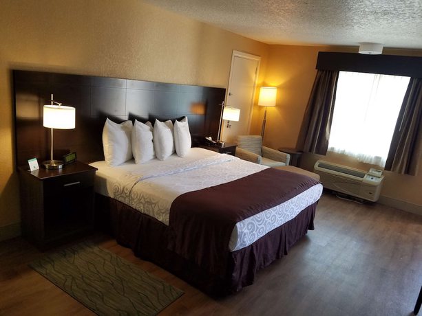 Imagen de la habitación del Hotel Best Western Space Shuttle Inn. Foto 12