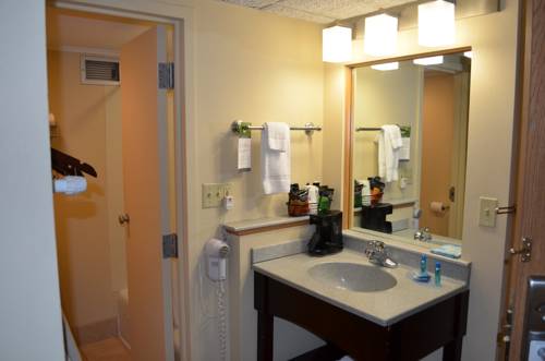 Imagen de la habitación del Hotel Best Western Starlite Village. Foto 14