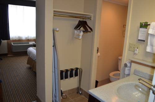 Imagen de la habitación del Hotel Best Western Starlite Village. Foto 16