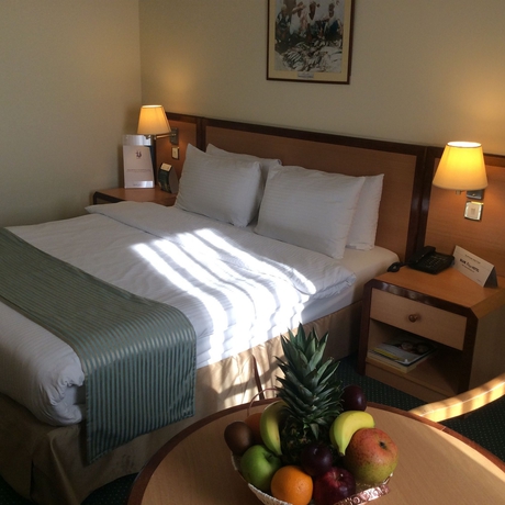 Imagen de la habitación del Hotel Best Western Sur. Foto 12