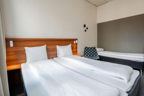 Imagen de la habitación del Hotel Best Western Sverre. Foto 19