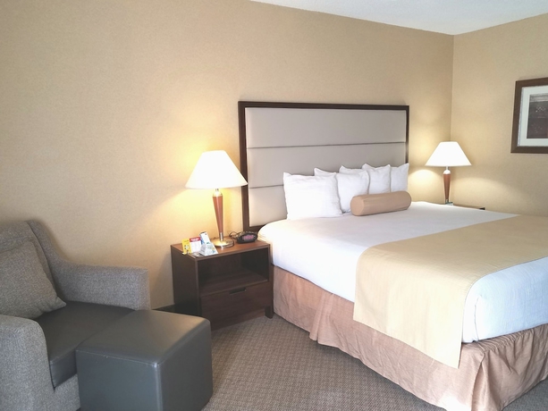 Imagen de la habitación del Hotel Best Western Tempe By The Mall. Foto 8