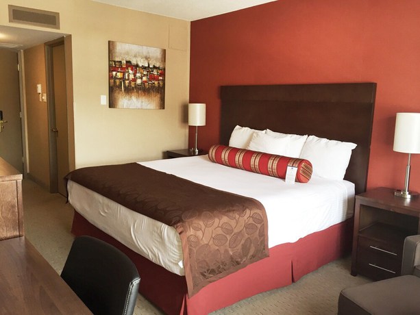 Imagen de la habitación del Hotel Best Western Terrace Inn. Foto 3
