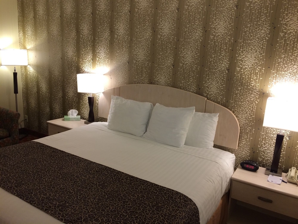 Imagen de la habitación del Hotel Best Western The Inn At Buffalo Airport. Foto 6