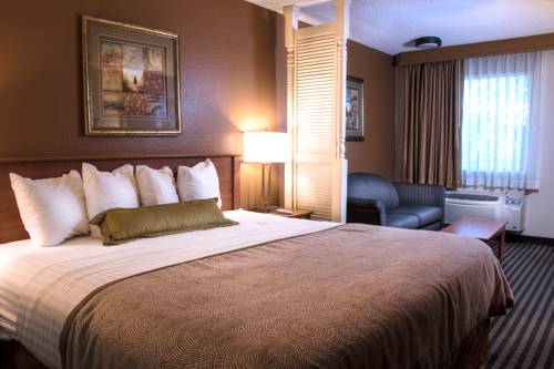 Imagen de la habitación del Hotel Best Western The Oasis At Joplin. Foto 7