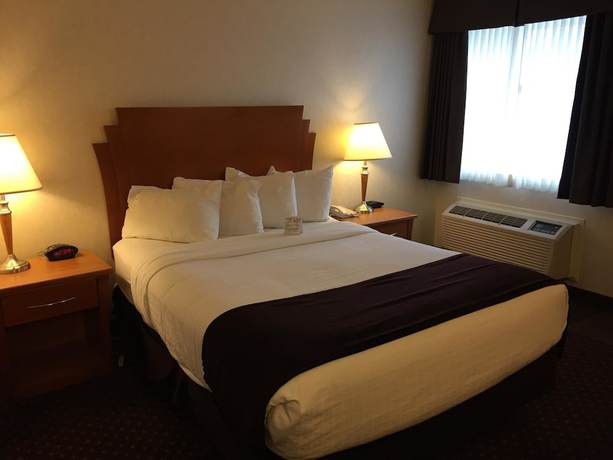Imagen de la habitación del Hotel Best Western Thunder Bay Crossroads. Foto 4