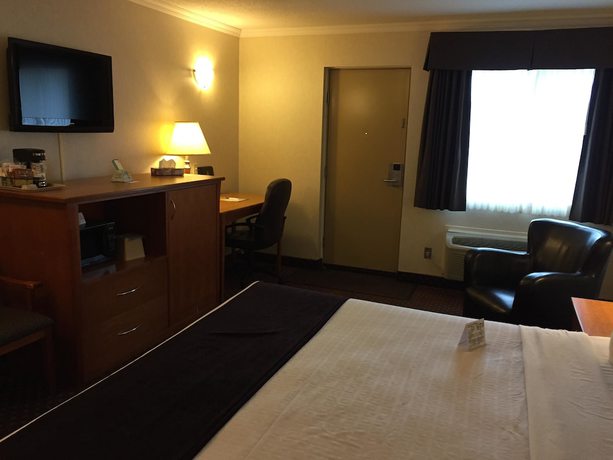 Imagen de la habitación del Hotel Best Western Thunder Bay Crossroads. Foto 5