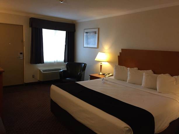 Imagen de la habitación del Hotel Best Western Thunder Bay Crossroads. Foto 8