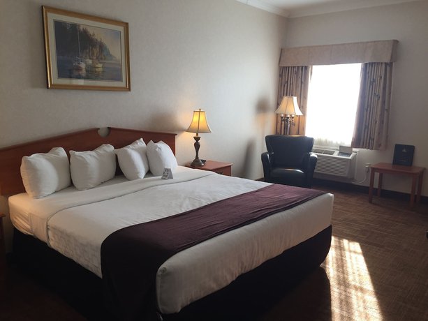 Imagen de la habitación del Hotel Best Western Thunder Bay Crossroads. Foto 9