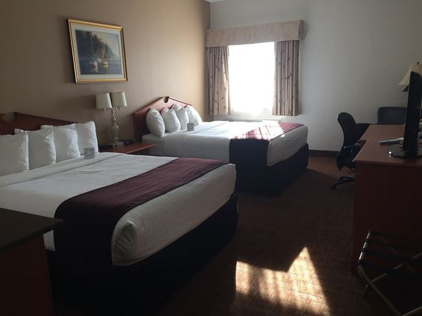 Imagen de la habitación del Hotel Best Western Thunder Bay Crossroads. Foto 11