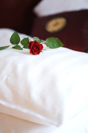 Imagen de los interiores del Hotel Best Western Tidbloms. Foto 14