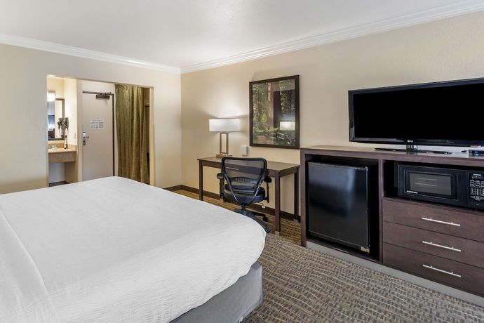 Imagen de la habitación del Hotel Best Western Town And Country Lodge. Foto 9