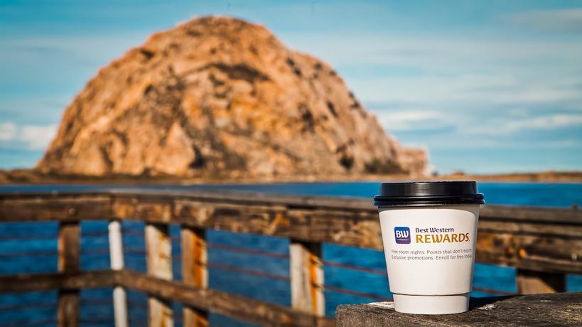 Imagen de la habitación del Hotel Best Western Tradewinds. Foto 12