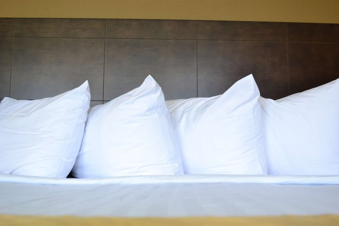 Imagen de la habitación del Hotel Best Western University Inn, CANTON, NY. Foto 8