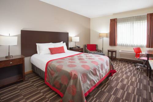 Imagen de la habitación del Hotel Best Western University Inn, CHAMPAIGN. Foto 7