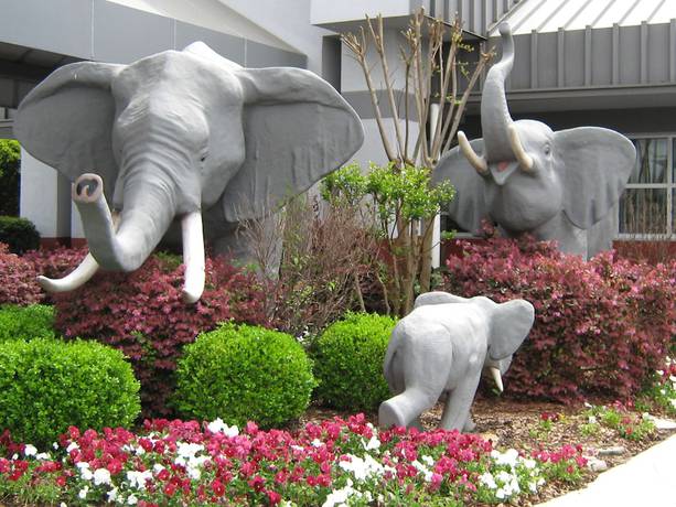 Imagen general del Hotel Best Western University Inn, Tuscaloosa. Foto 3