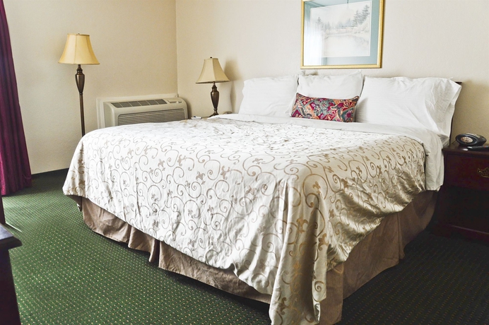 Imagen de la habitación del Hotel Best Western Village Inn. Foto 9