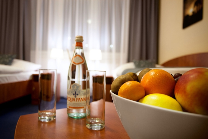 Imagen de la habitación del Hotel Best Western Vista. Foto 12