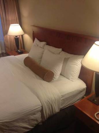 Imagen de la habitación del Hotel Best Western Vista Inn At The Airport. Foto 3
