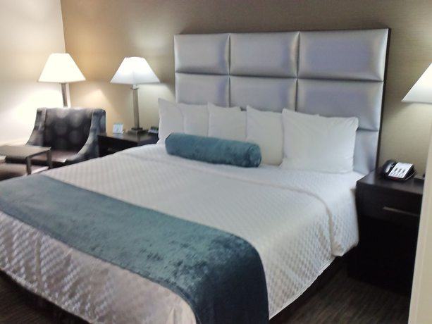 Imagen de la habitación del Hotel Best Western Webster , Nasa. Foto 7