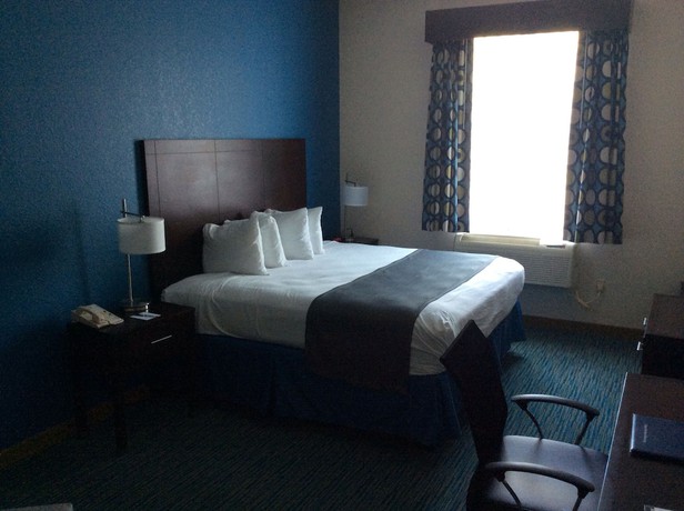 Imagen de la habitación del Hotel Best Western Wesley Chapel. Foto 6