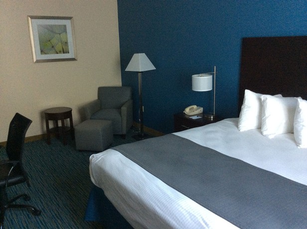 Imagen de la habitación del Hotel Best Western Wesley Chapel. Foto 9