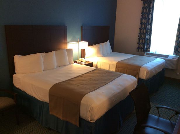 Imagen de la habitación del Hotel Best Western Wesley Chapel. Foto 10