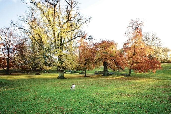 Imagen general del Hotel Best Western Whitworth Hall Country Park. Foto 4