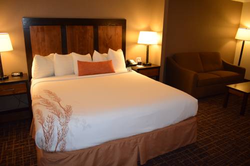 Imagen de la habitación del Hotel Best Western Wichita North. Foto 8