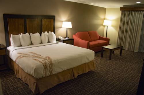 Imagen de la habitación del Hotel Best Western Wichita North. Foto 10