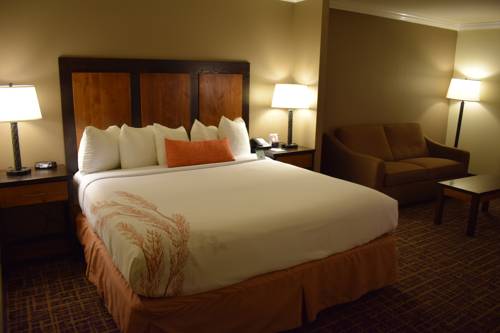 Imagen de la habitación del Hotel Best Western Wichita North. Foto 11