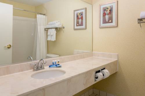 Imagen de la habitación del Hotel Best Western Worlds Of Fun Inn & Suites. Foto 5