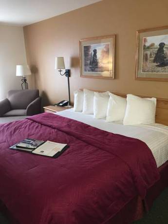 Imagen de la habitación del Hotel Best Western Yellowstone Crossing. Foto 10