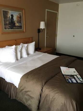 Imagen de la habitación del Hotel Best Western Yellowstone Crossing. Foto 13
