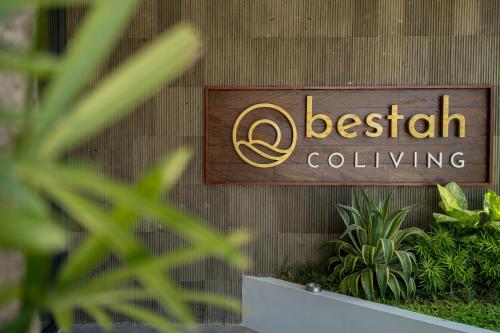 Imagen de los interiores del Hotel Bestah Coliving. Foto 11