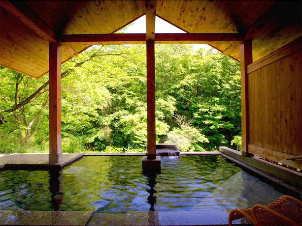 Imagen de la piscina del Hotel Bettei Senjyuan. Foto 19