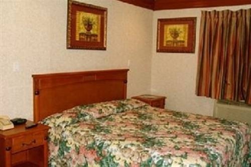 Imagen general del Hotel Beverly Inn. Foto 2