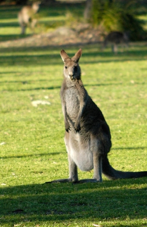 Imagen de los exteriores del Hotel Bewong River Retreat. Foto 15