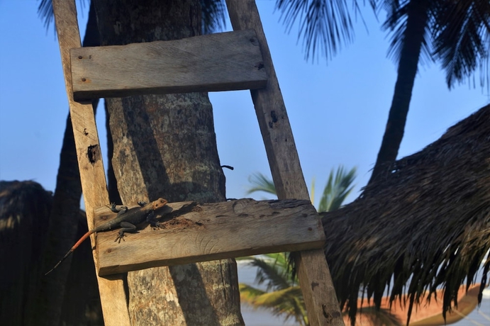 Imagen general del Hotel Beyin Eco Beach Camp. Foto 4