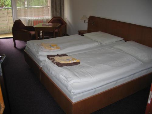 Imagen de la habitación del Hotel Bezdez Stare Splavy. Foto 20