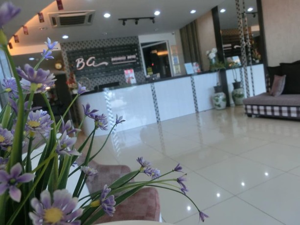 Imagen general del Hotel Bg Business. Foto 16