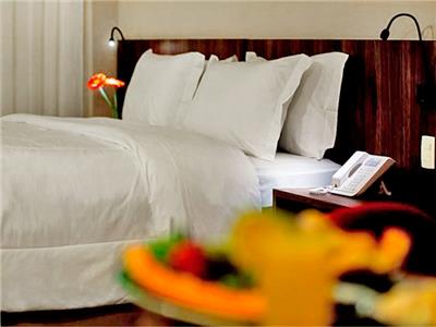 Imagen general del Hotel Bh Raja. Foto 4
