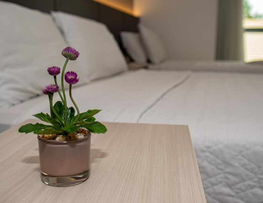 Imagen general del Hotel Bhs, Linhares. Foto 18