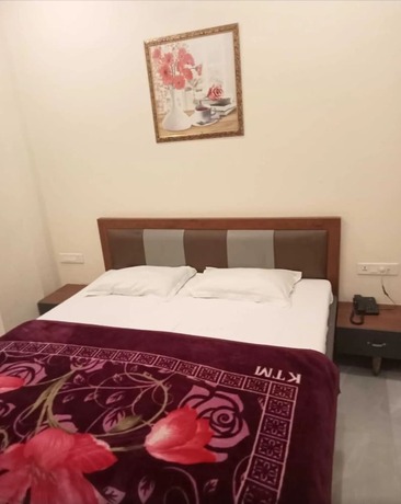 Imagen de la habitación del Hotel Bhullar. Foto 7